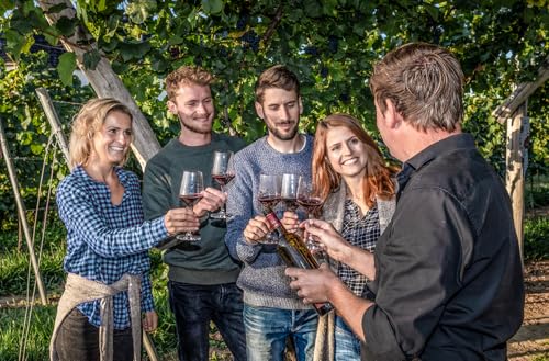Erlebnisgutschein: Weinbergwanderung und Weinprobe in Heidelberg für zwei Personen
