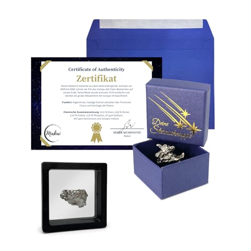 Echter Meteorit aus Campo-del-Cielo mit Zertifikat und Aufbewahrungsbox - ein einzigartiges Geschenk!