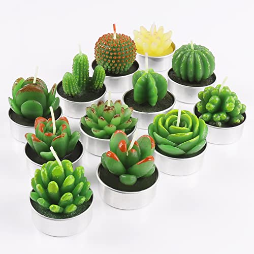 Handgefertigte Kaktus Kerzen - Perfektes Geschenk für Zuhause, Party, Hochzeit