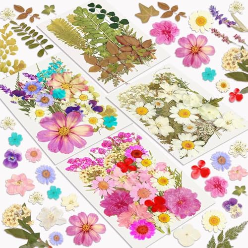 Farbenfrohe Auswahl: 100 Stück Getrocknete Blumen und Blätter für DIY Geschenke und Dekorationen