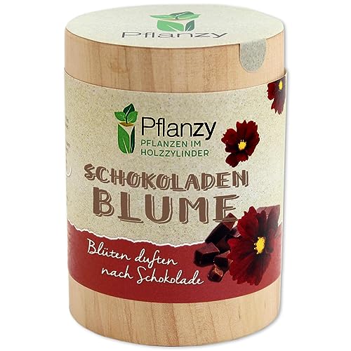 Überrasche mit der Feel Green Pflanzy Schokoladenblume - Nachhaltiges Geschenkset aus Österreich