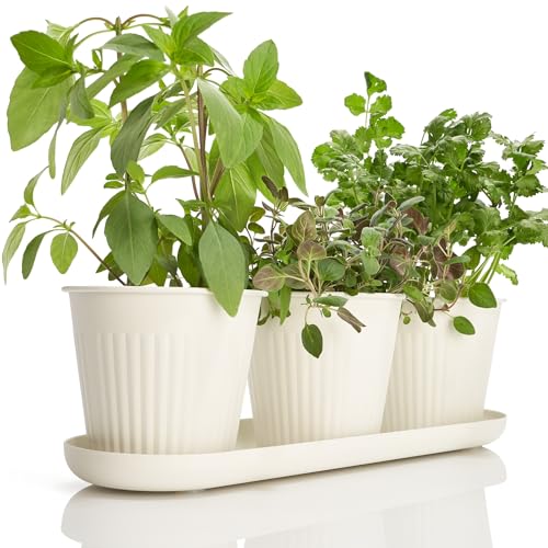 3er-Set Kräutergarten-Pflanzgefäße für die Küche, modernes Dekor inkl. Tablett