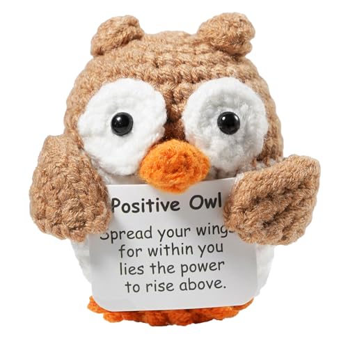 Kreative gestrickte Glücksbringer Eule - Perfektes Geschenk für Familie und Freunde!