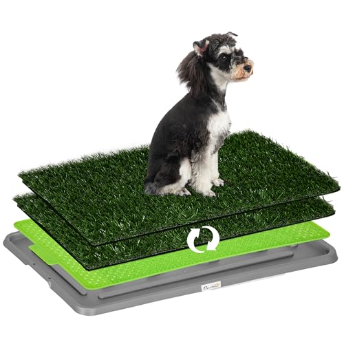Revolutionäres Hundeklo mit Gras - Perfekt für kleine und große Hunde!
