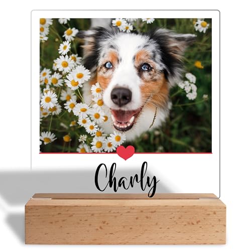 Einzigartiges Geschenk für Hundeliebhaber: Personalisierte Acrylaufsteller mit eigenem Foto