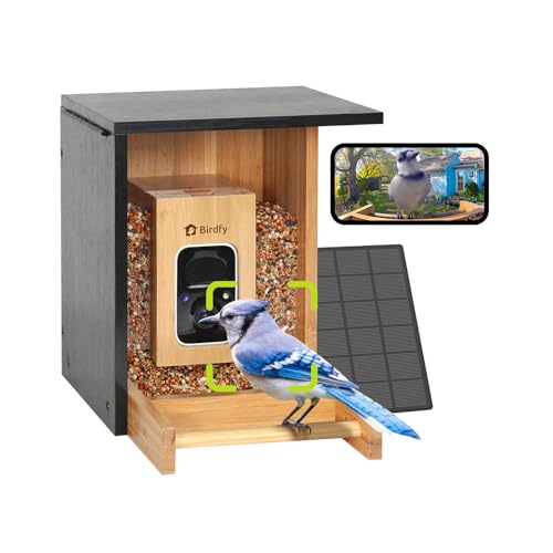 Entdecke das intelligente NETVUE Vogelfutterhaus mit Kamera und KI!
